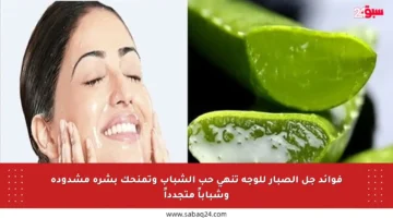 فوائد جل الصبار للوجه تنهي حب الشباب وتمنحك بشرة مشدودة وشباباً متجدداً